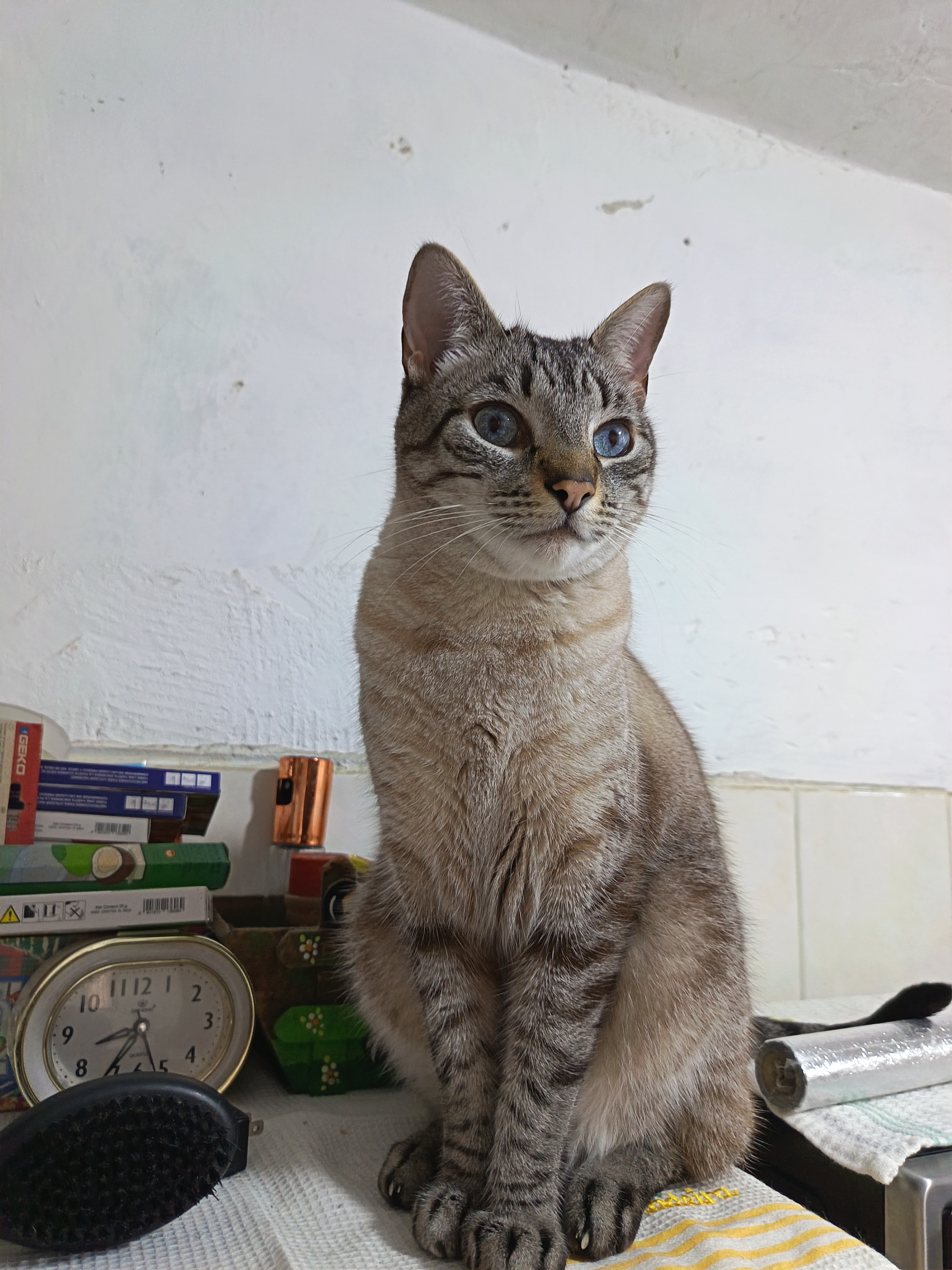 Max