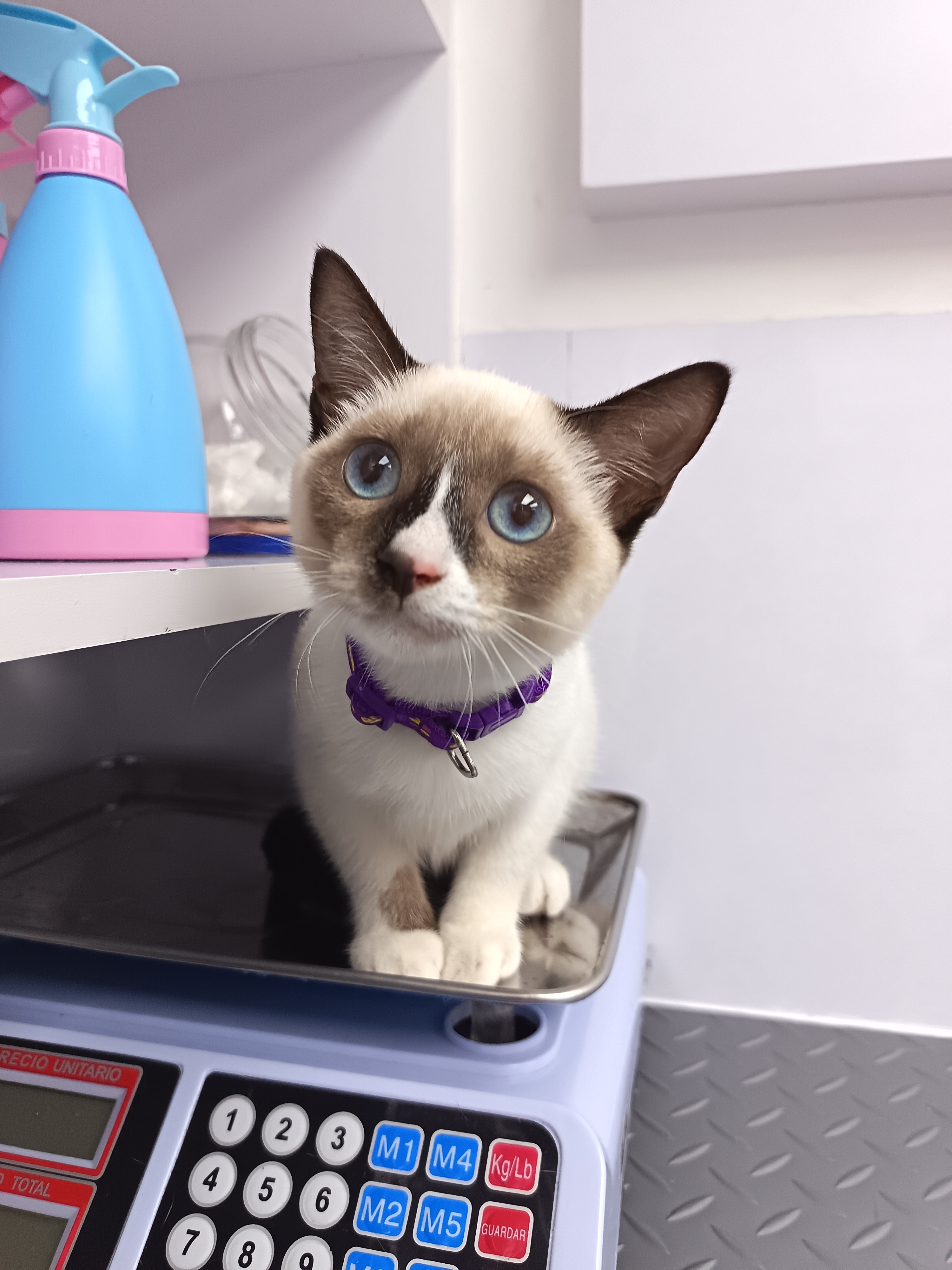 Nala Damarys Bautista