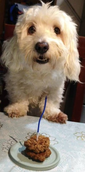 Benji